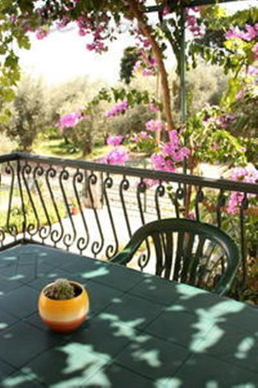 Apartments & Rooms M Petrovac ภายนอก รูปภาพ